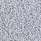Miyuki Delica Bead 11/0, DB0357-1, Matte Opaque Pale Blue Gray, 5 grams